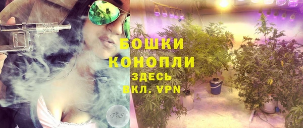 стаф Нея